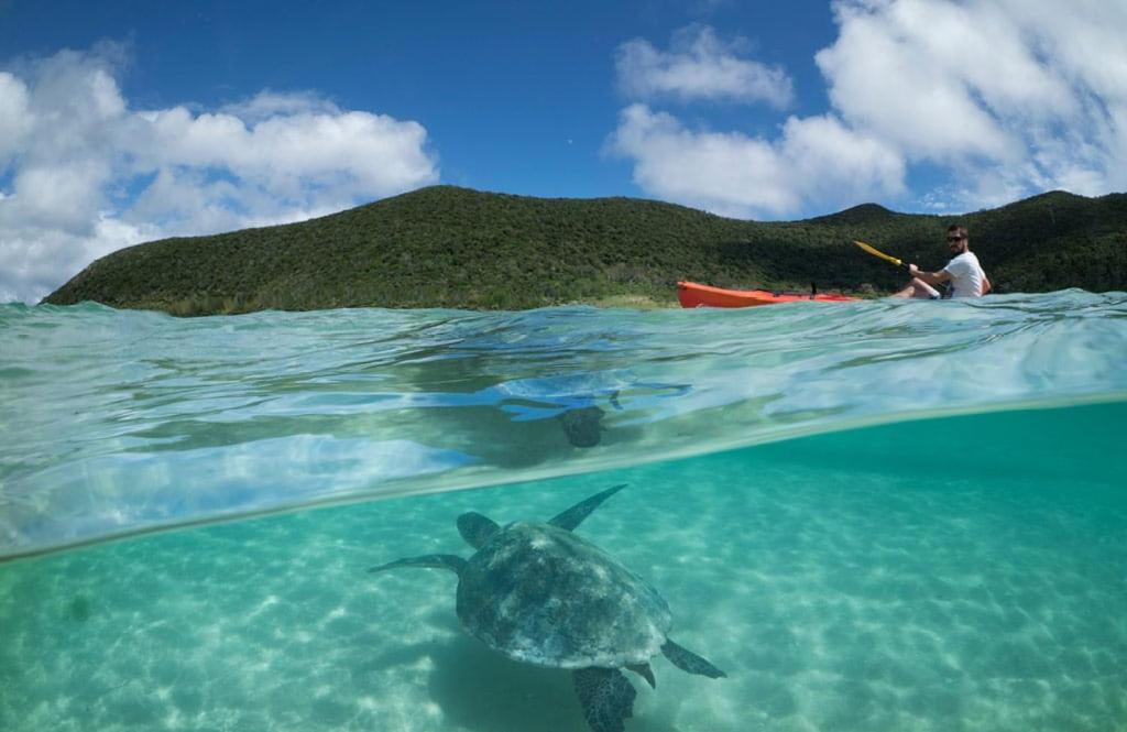 Villa Arajilla Retreat Lord Howe Island Esterno foto