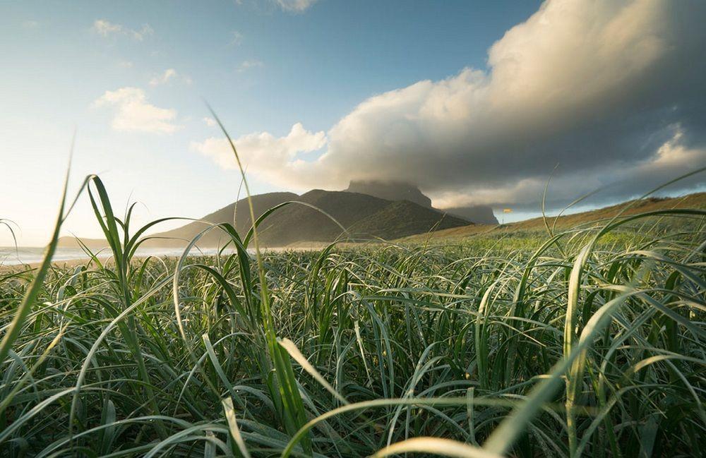 Villa Arajilla Retreat Lord Howe Island Esterno foto