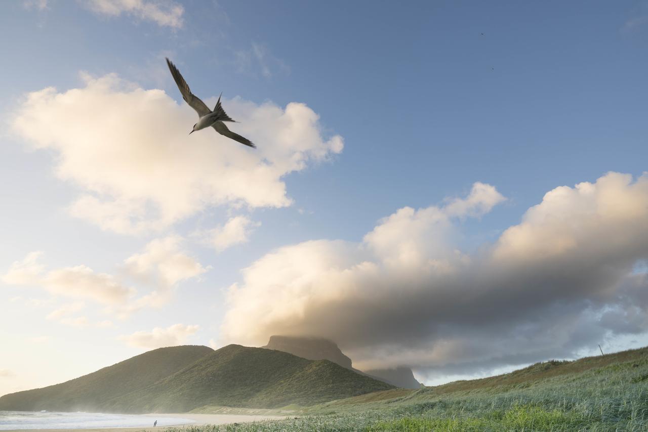 Villa Arajilla Retreat Lord Howe Island Esterno foto